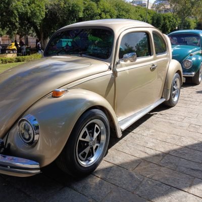 WhatsApp Image 2025-07-07 at 15.38.47 (1)